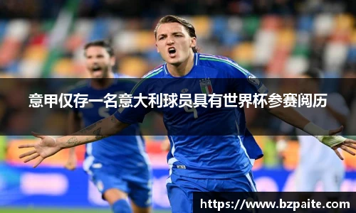 意甲仅存一名意大利球员具有世界杯参赛阅历